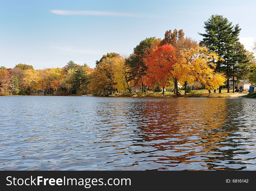 Multi-colored autumn trees at lake. Multi-colored autumn trees at lake