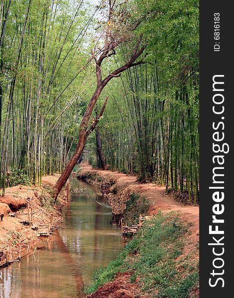 Small river in myanmar in the midle of the forest. Small river in myanmar in the midle of the forest