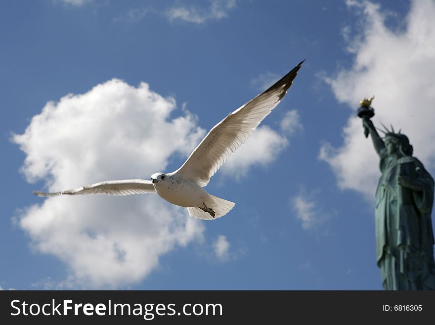 Dove flying in front of statue of liberty with nice blue sky