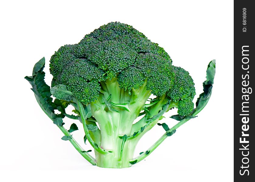 Broccoli Isolated on white background