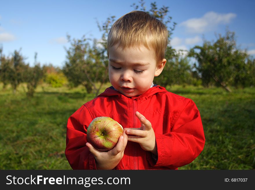 A toddler boy wearing a red jacket looking at a freshly picked apple at the orchard. A toddler boy wearing a red jacket looking at a freshly picked apple at the orchard.