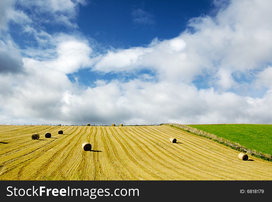 field of hay bales under blue cloudy sky
