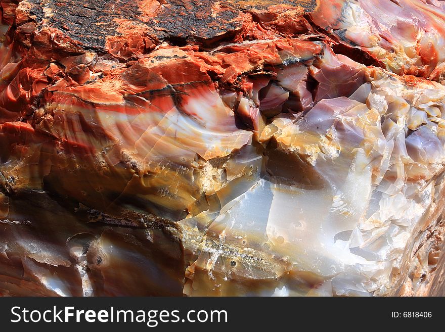 Petrified wood, taken at petrified forest national park.