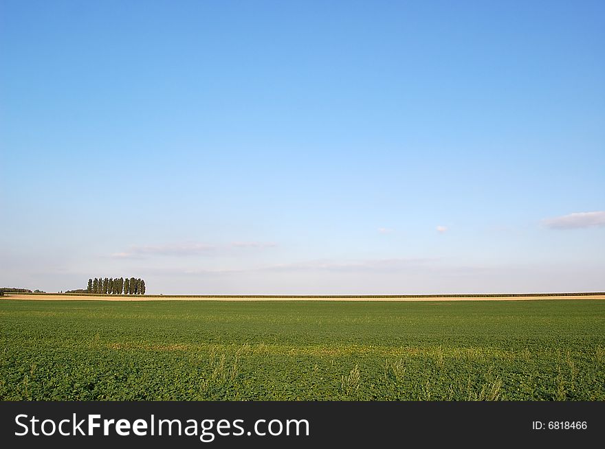 Agricultural Field