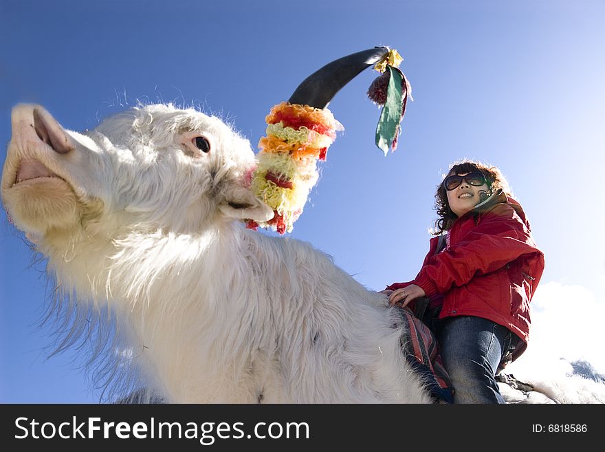 The girl riding a yak