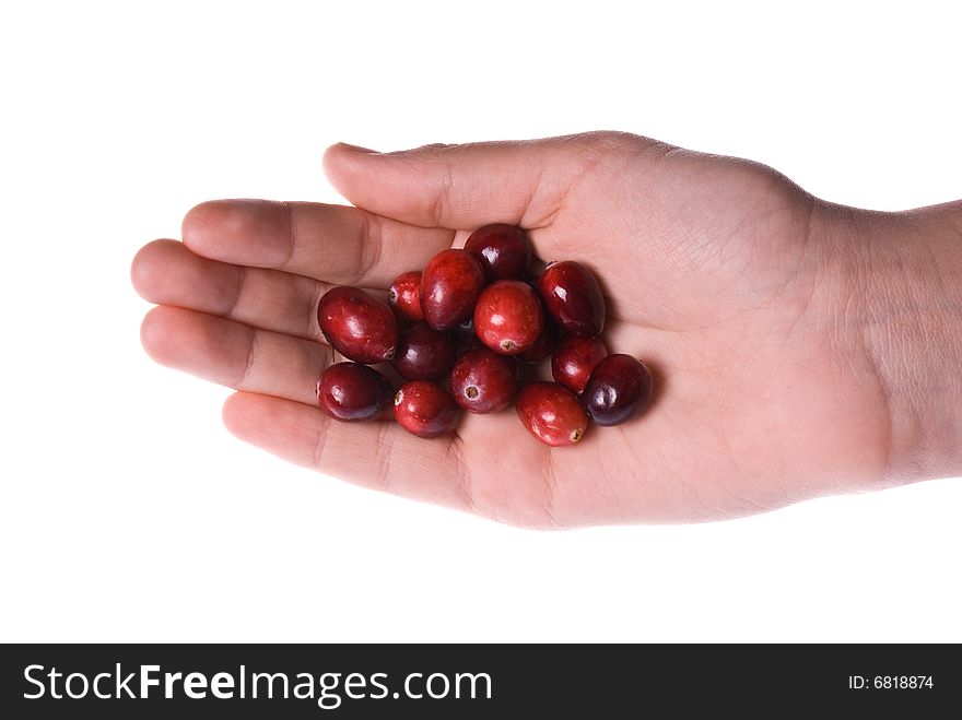 Delicious fresh organic cranberries in a palm of a hand. Delicious fresh organic cranberries in a palm of a hand