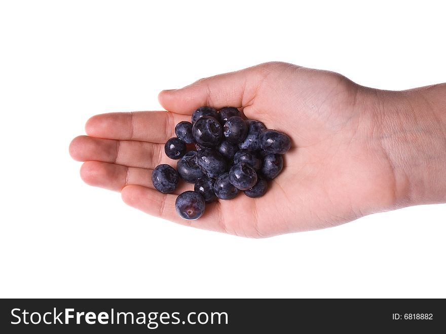 Blueberries Rolling Off The Hand