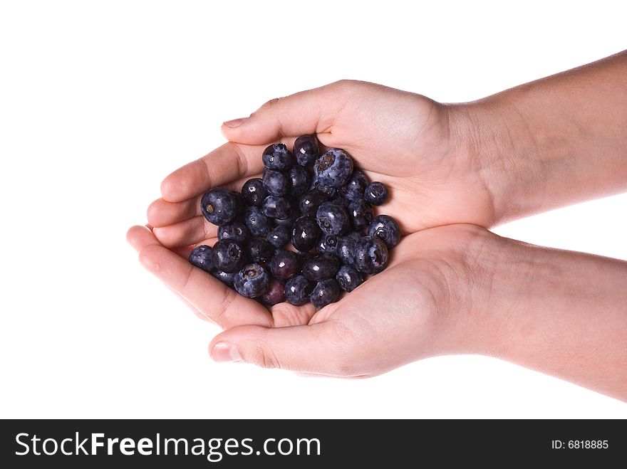 Delicious fresh organic blueberries in two cupped hands. Delicious fresh organic blueberries in two cupped hands