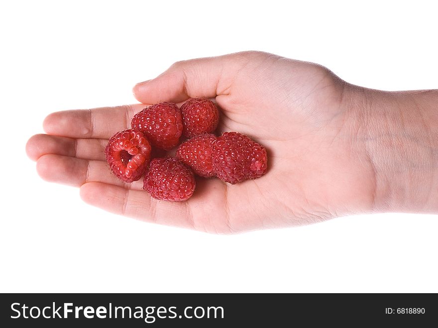 Delicious fresh organic raspberries in a palm of a hand. Delicious fresh organic raspberries in a palm of a hand