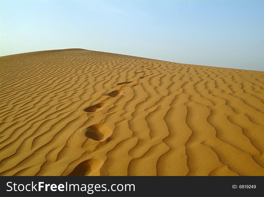 Nice footprint in unbounded desert.