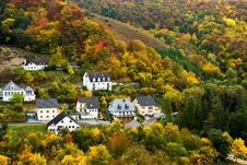 Autumn Forest Royalty Free Stock Photo Autumn Forest Royalty Free Stock Photo