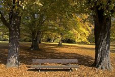 Park Bench In The Autumn Royalty Free Stock Images Park Bench In The Autumn Royalty Free Stock Images
