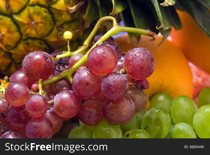 Tropical Fruit Close Up.