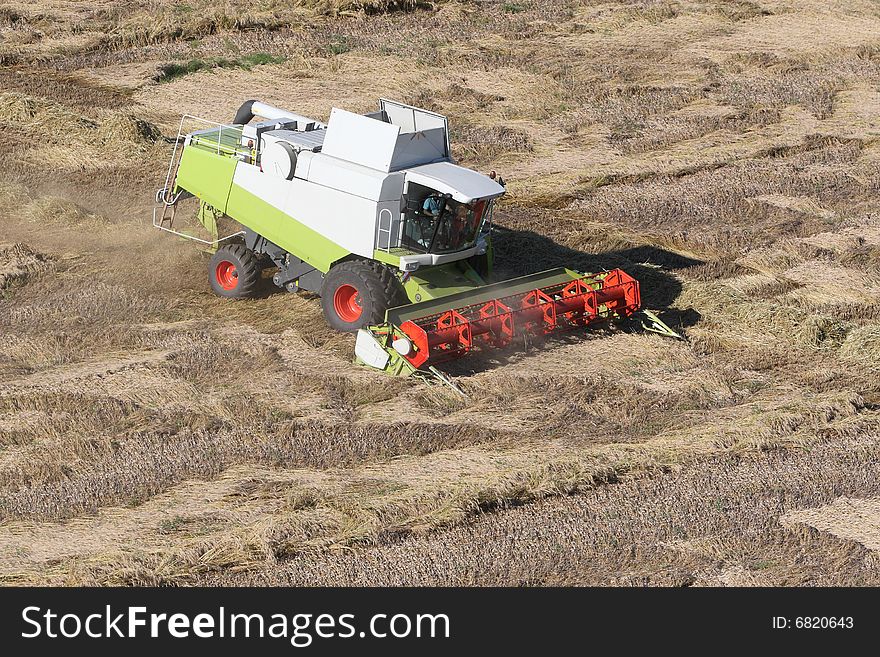 Harvesting the corn field