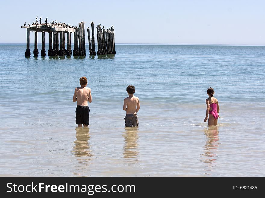Two little boys and a girl, standing in the sea looking at a bird colony on an abandoned pier. Two little boys and a girl, standing in the sea looking at a bird colony on an abandoned pier.
