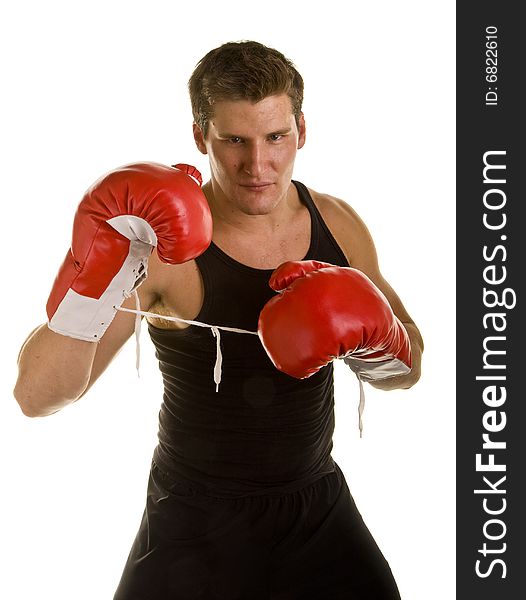Boxer In Fighting Stance