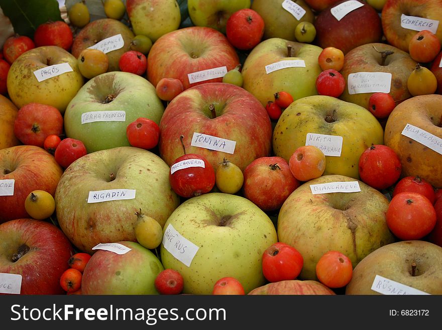 Basket in different quality of apple, each fruit contains the name on the label. Basket in different quality of apple, each fruit contains the name on the label
