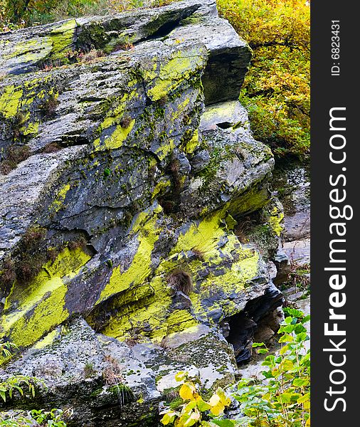 An atumn colors rock texture. An atumn colors rock texture