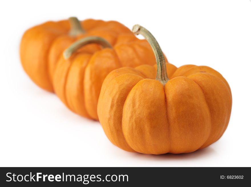 Three pumpkin halloween thanksgiving harvest isolated. Three pumpkin halloween thanksgiving harvest isolated