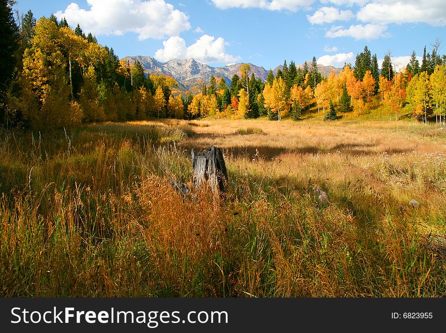 Fall colors on a high mountain meadow with blue sky and clouds. Fall colors on a high mountain meadow with blue sky and clouds