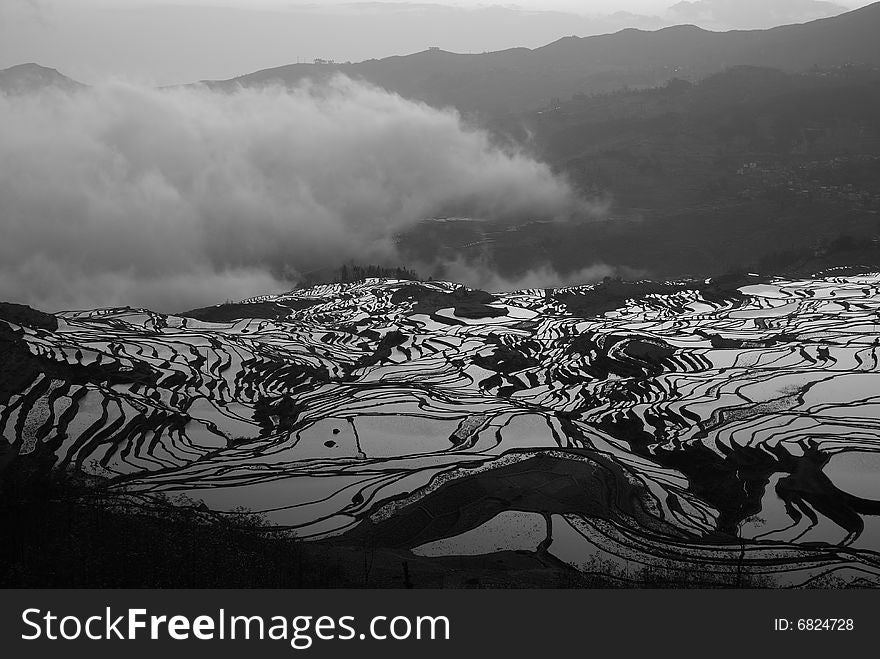 The morning Shot of a hill paddy field with mist, taken in Yunan, China. The morning Shot of a hill paddy field with mist, taken in Yunan, China