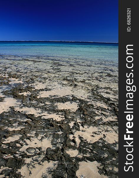 Clear blue sea of coral bay, Australia. Clear blue sea of coral bay, Australia