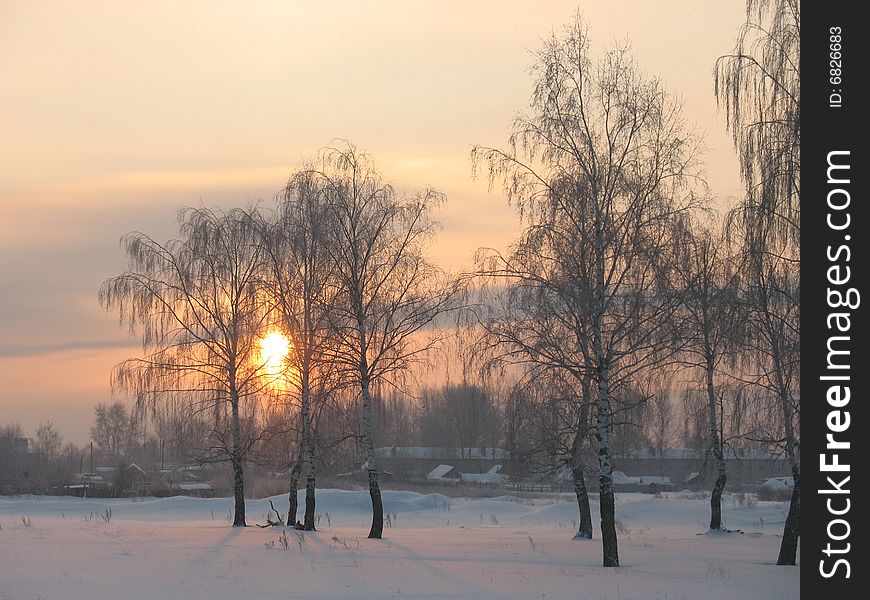 It is frosty morning in the Russia. It is frosty morning in the Russia.