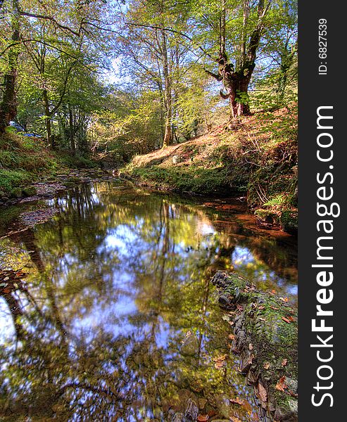 River and forest on fall season