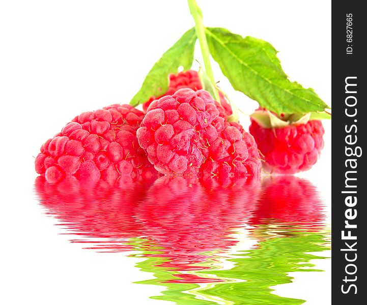 Close-up of raspberry with leaves