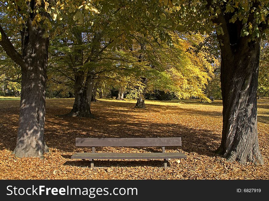 Park Bench In The Autumn