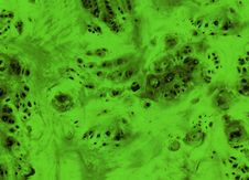 Close-up Natural Green Marble Slab Surface Stock Photo