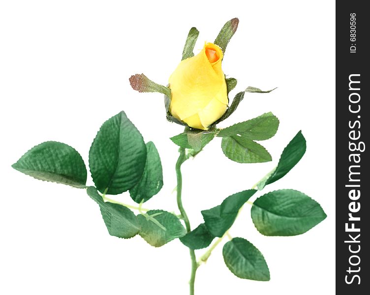 Single artificial yellow rose on white