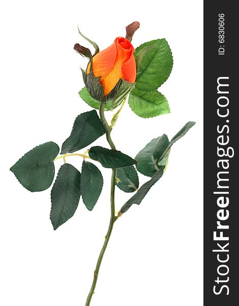 Single artificial rose on white background
