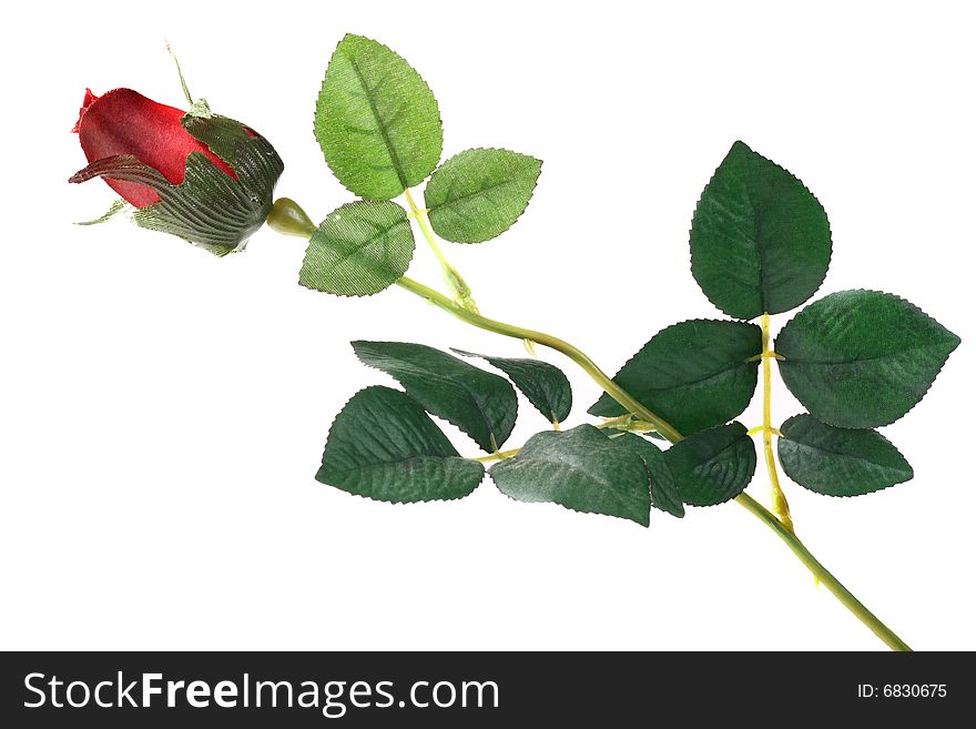 Single artificial rose on white background