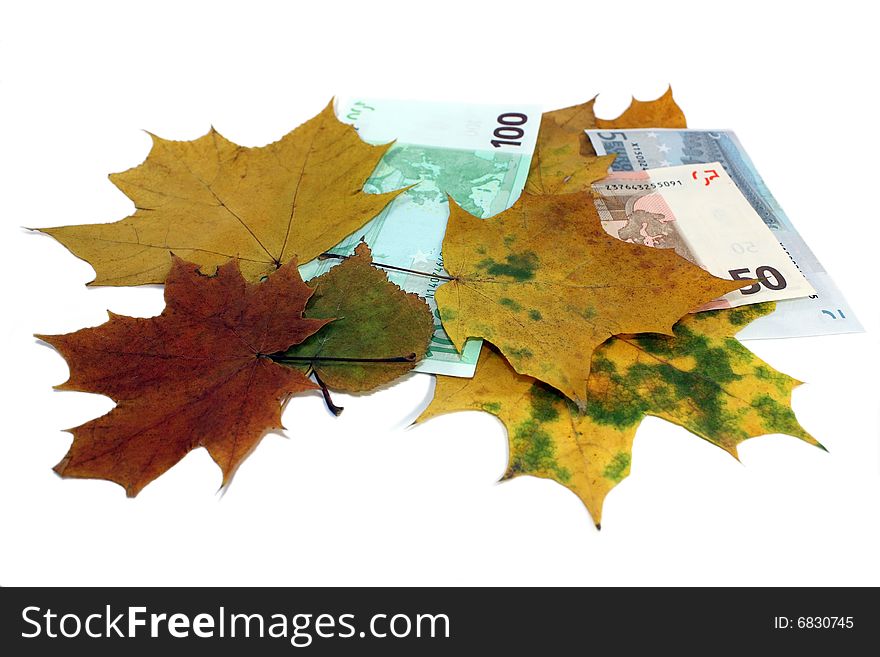 Euro together with yellow leaves on a white background. Euro together with yellow leaves on a white background
