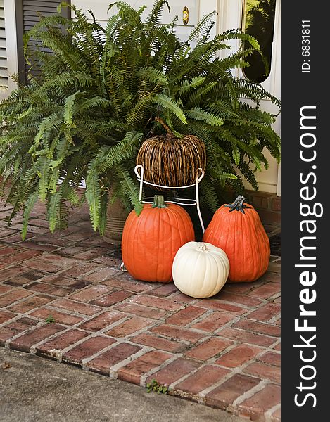 4 decorative pumpkins and a fern on display for holiday entertaining. 4 decorative pumpkins and a fern on display for holiday entertaining