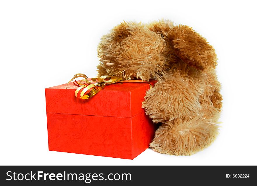 Toy Dog With Gift Box