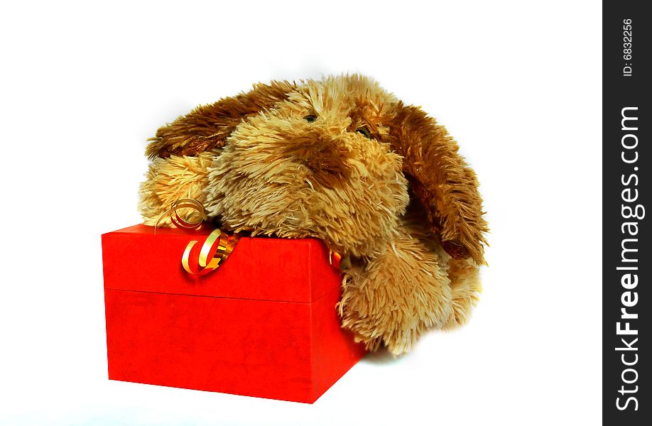 Toy-dog With Gift Box