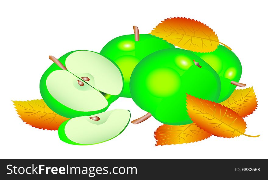 Green apples with leaves,illustration