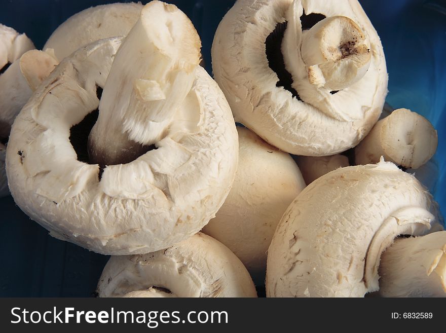 Fresh mushrooms in a blue carton used for packaging in supermarkets