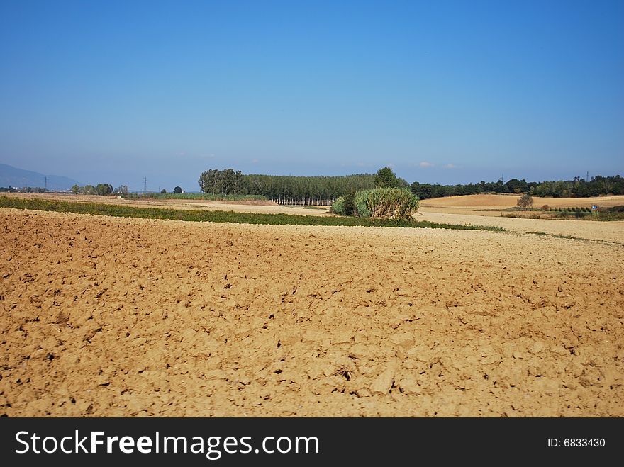 Barren farmland