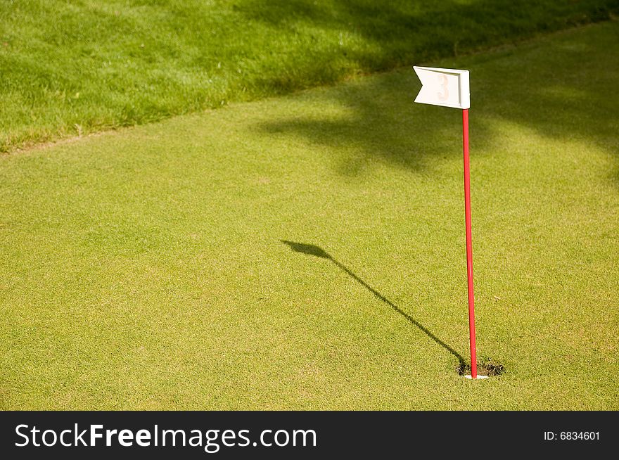 Golf green with the flag in the hole