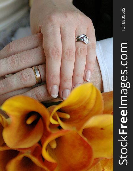 Bride and  Groom wearing wedding rings