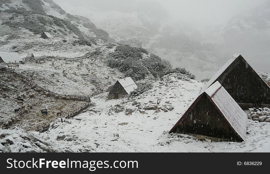 Snowing in summer at mountain sheep-cote. Snowing in summer at mountain sheep-cote