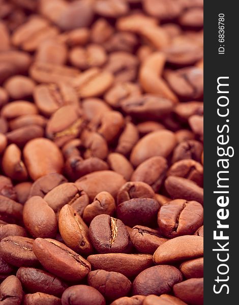 Vertical coffee background, macro of seeds