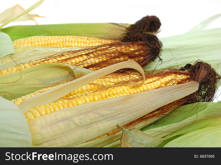 Fresh Corn On The Cob