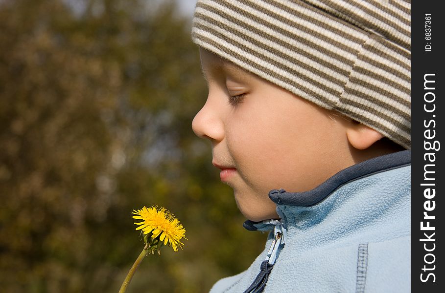 Boy Smelling Dandelion In Autumnal Scenery