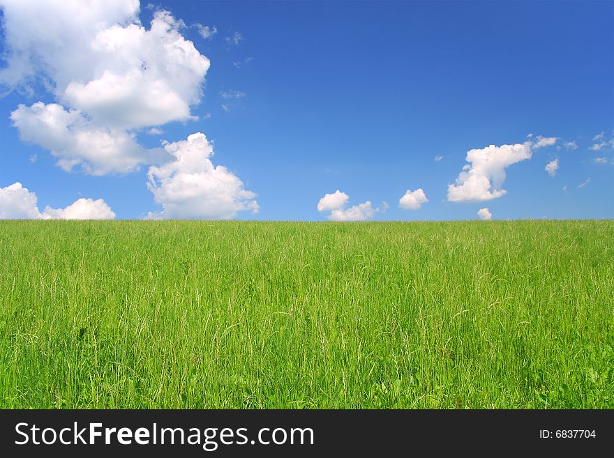 Beautiful green grass and blue sky. Beautiful green grass and blue sky