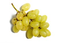 Bunch Of Grapes Stock Images