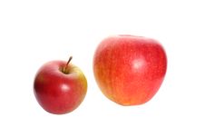 Two Apples Isolated On White Stock Images Two Apples Isolated On White Stock Images